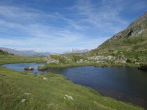Taillefer-date (460)