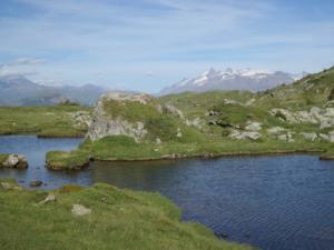 Taillefer-date (461)