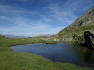 Taillefer-date (463)