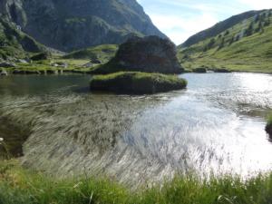 Taillefer-date (464)