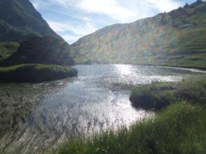 Taillefer-date (465)