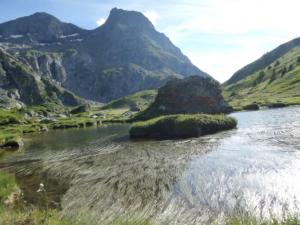 Taillefer-date (466)