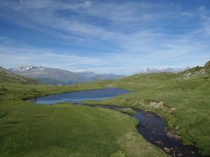Taillefer-date (467)