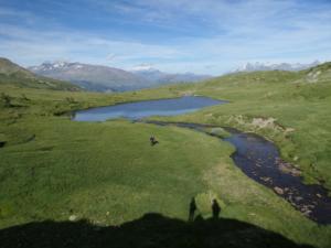 Taillefer-date (469)