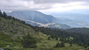 Taillefer-date (47)