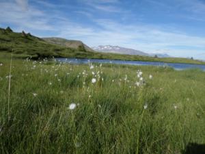 Taillefer-date (476)