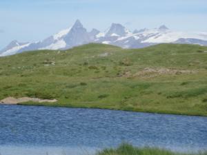 Taillefer-date (478)