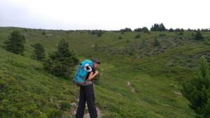 Taillefer-date (48)