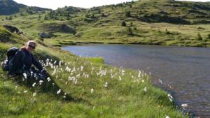 Taillefer-date (483)