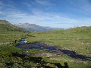 Taillefer-date (485)