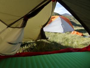 Taillefer-date (490)