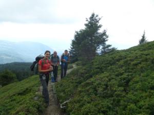 Taillefer-date (50)