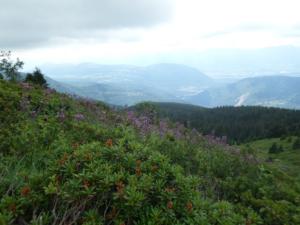 Taillefer-date (52)
