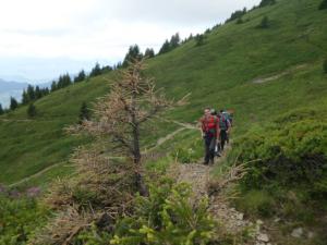 Taillefer-date (53)