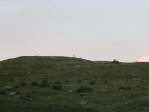 Taillefer-date (540)