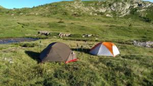 Taillefer-date (578)
