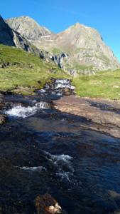 Taillefer-date (589)