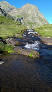 Taillefer-date (602)