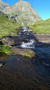 Taillefer-date (609)