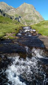 Taillefer-date (613)