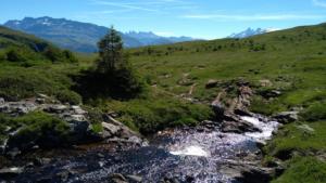 Taillefer-date (629)