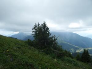 Taillefer-date (63)