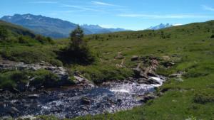 Taillefer-date (630)