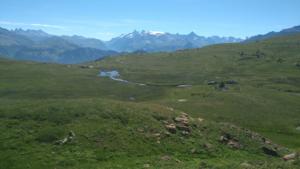 Taillefer-date (655)