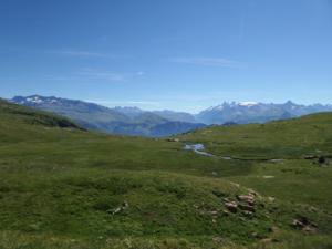 Taillefer-date (657)