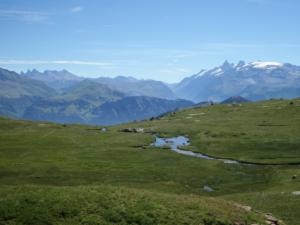 Taillefer-date (659)