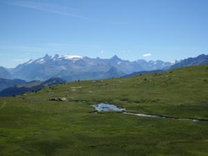 Taillefer-date (662)