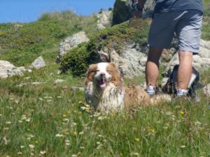 Taillefer-date (668)
