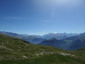 Taillefer-date (673)