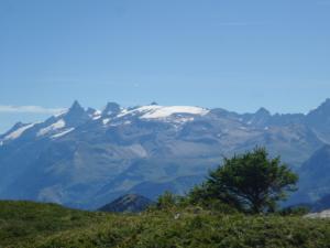 Taillefer-date (680)