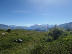 Taillefer-date (681)