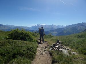 Taillefer-date (690)
