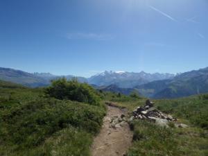 Taillefer-date (691)