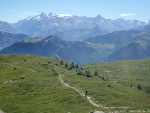 Taillefer-date (693)