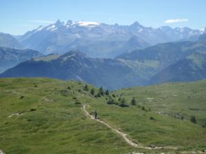 Taillefer-date (694)