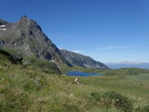 Taillefer-date (699)