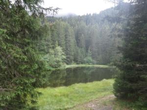 Taillefer-date (7)