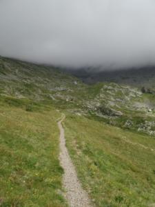 Taillefer-date (72)