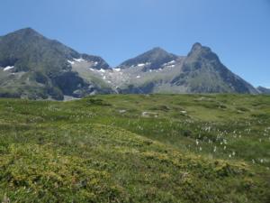 Taillefer-date (728)