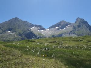 Taillefer-date (729)