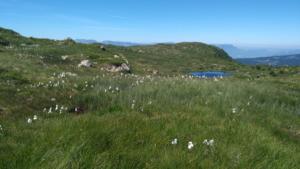 Taillefer-date (730)
