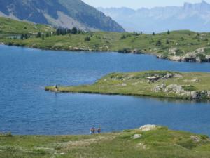Taillefer-date (733)