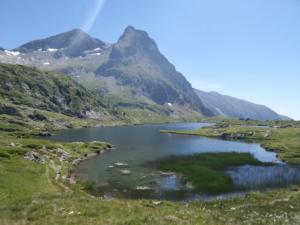 Taillefer-date (741)
