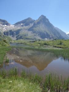 Taillefer-date (742)