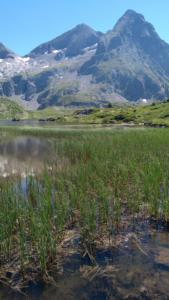 Taillefer-date (745)