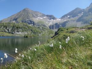 Taillefer-date (748)
